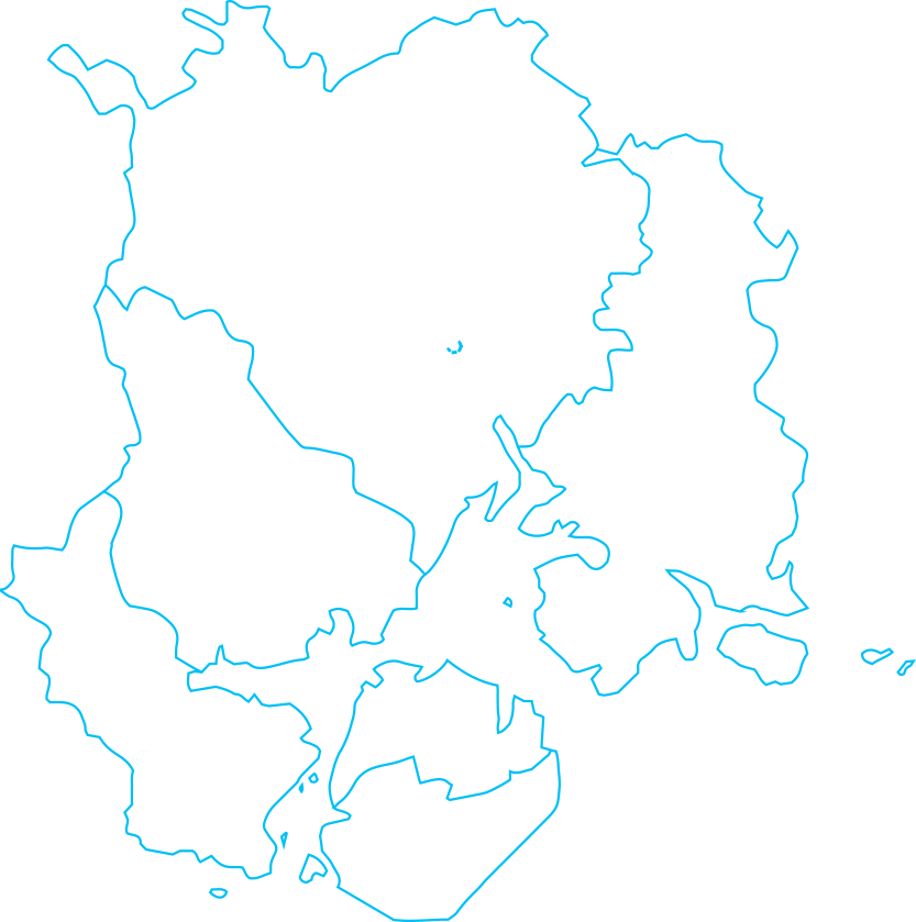 IM体育